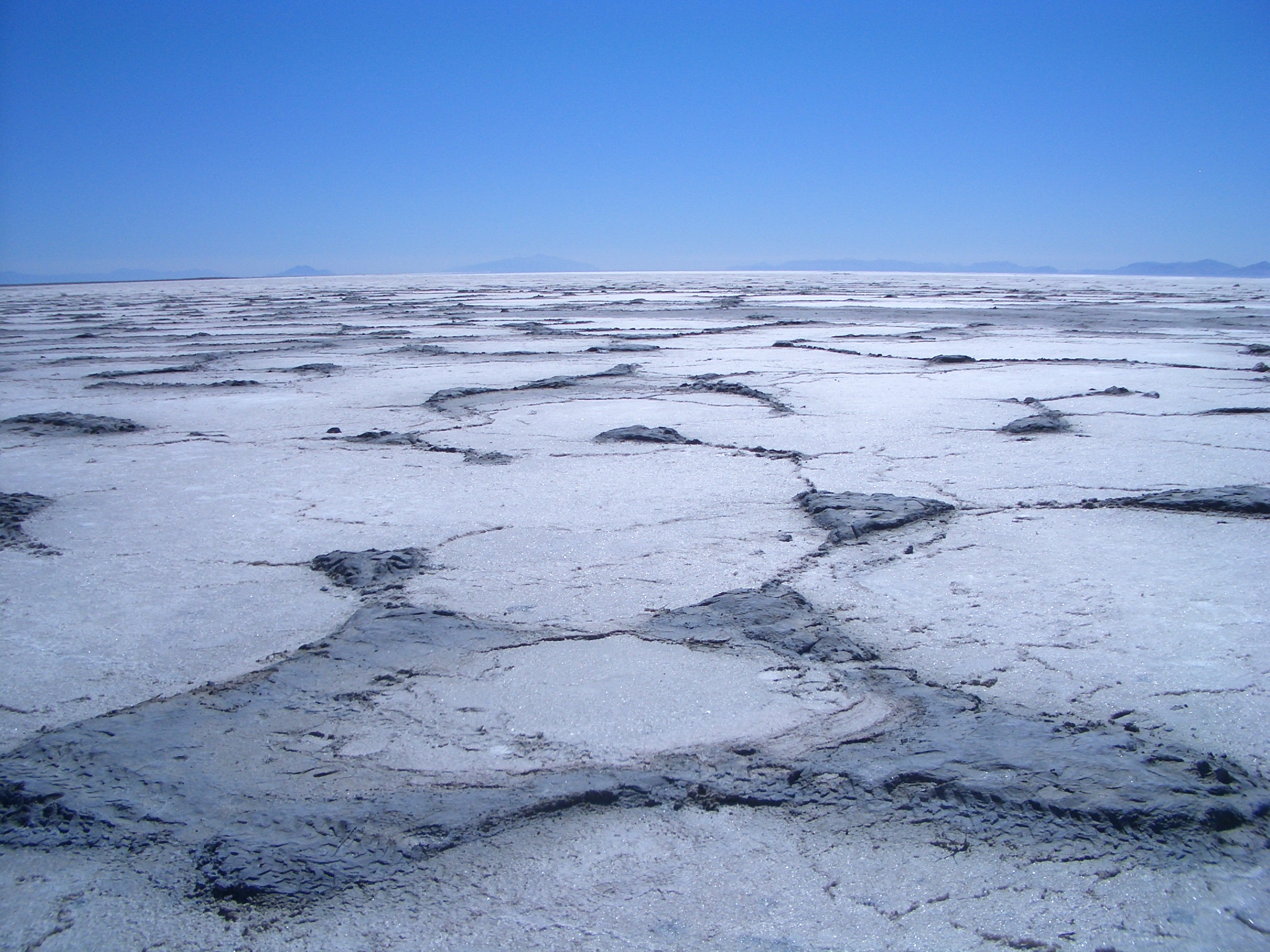 Modern and Ancient Carbonate Lakes of the Western U.S.: Lessons for Interpreting the Cretaceous Pre-Salt Reservoirs in the South Atlantic, Utah, Nevada & California (G030)