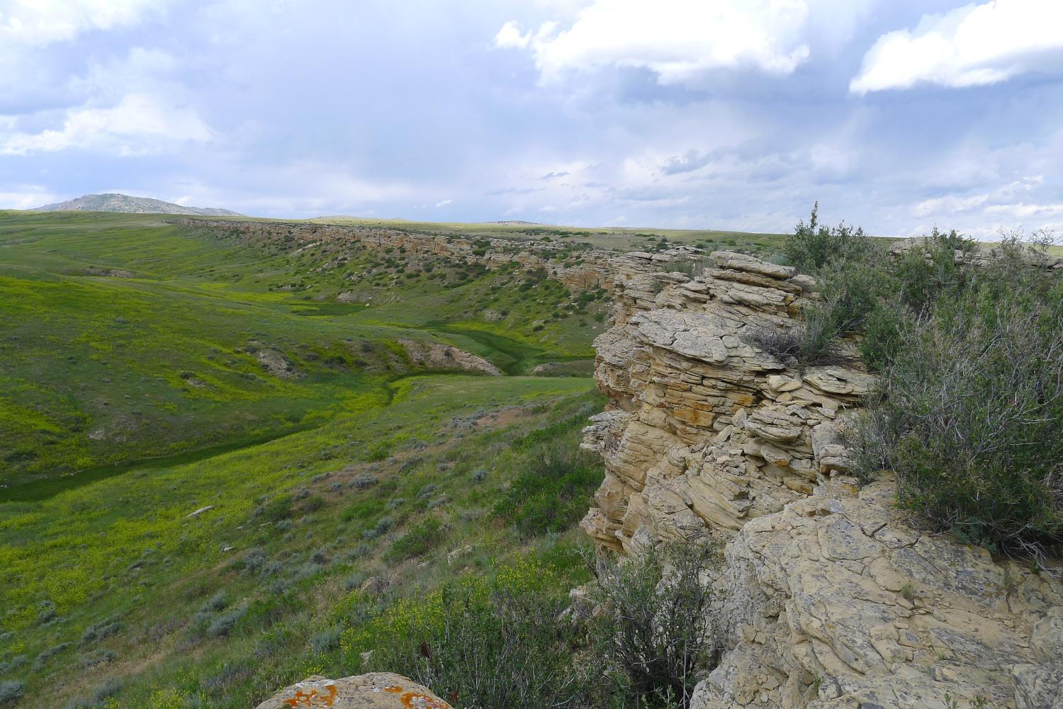 Facies, Sequence Stratigraphy and Reservoir Characteristics of Cretaceous Resource Plays, Powder River Basin, Wyoming (G031)