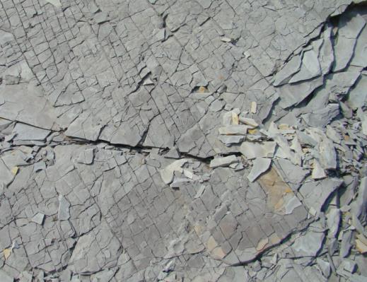 Geomechanics for Unconventional Developments (G051)