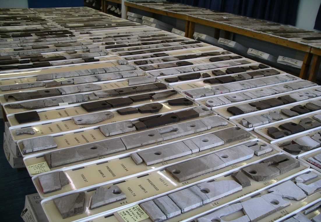 Integration of Rocks and Petrophysical Logs (G059)