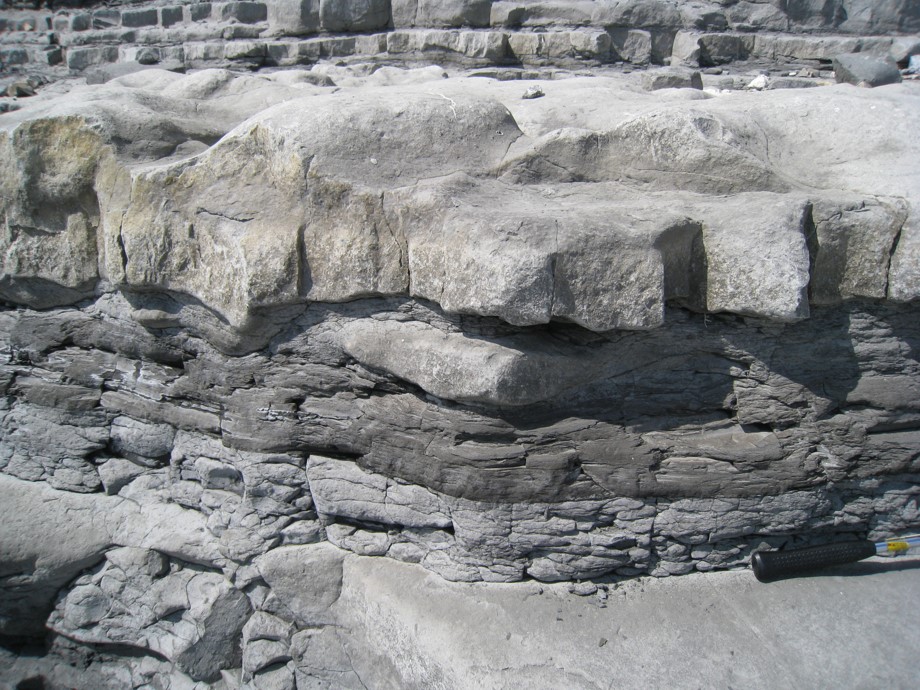 An Introduction to Clastic and Carbonate Depositional Systems (G064)