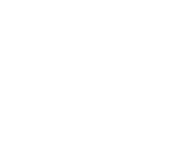 Competence Level Advanced Icon