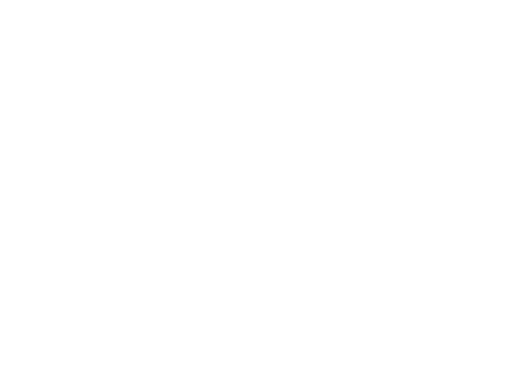 Fundamental Competence Level Icon