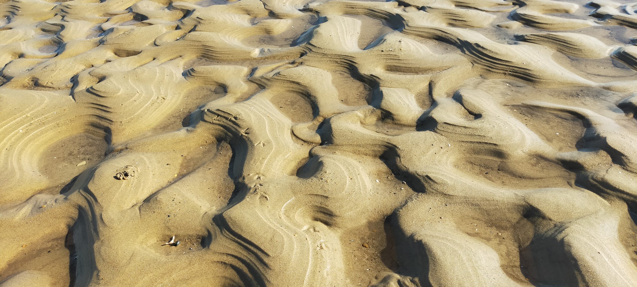 Modern and Ancient Tide- and Wave-influenced Depositional Systems: Subsurface Uncertainties in Shallow Marine Reservoirs, SE England, UK (G070)