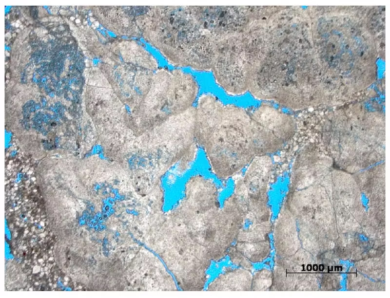 PreSalt Hydrocarbon Barra Velha Carbonate Reservoirs South Atlantic Offshore Brazil