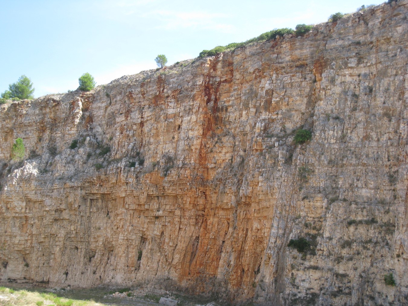 Workshop in the Seismic Expression of Carbonates (G080)