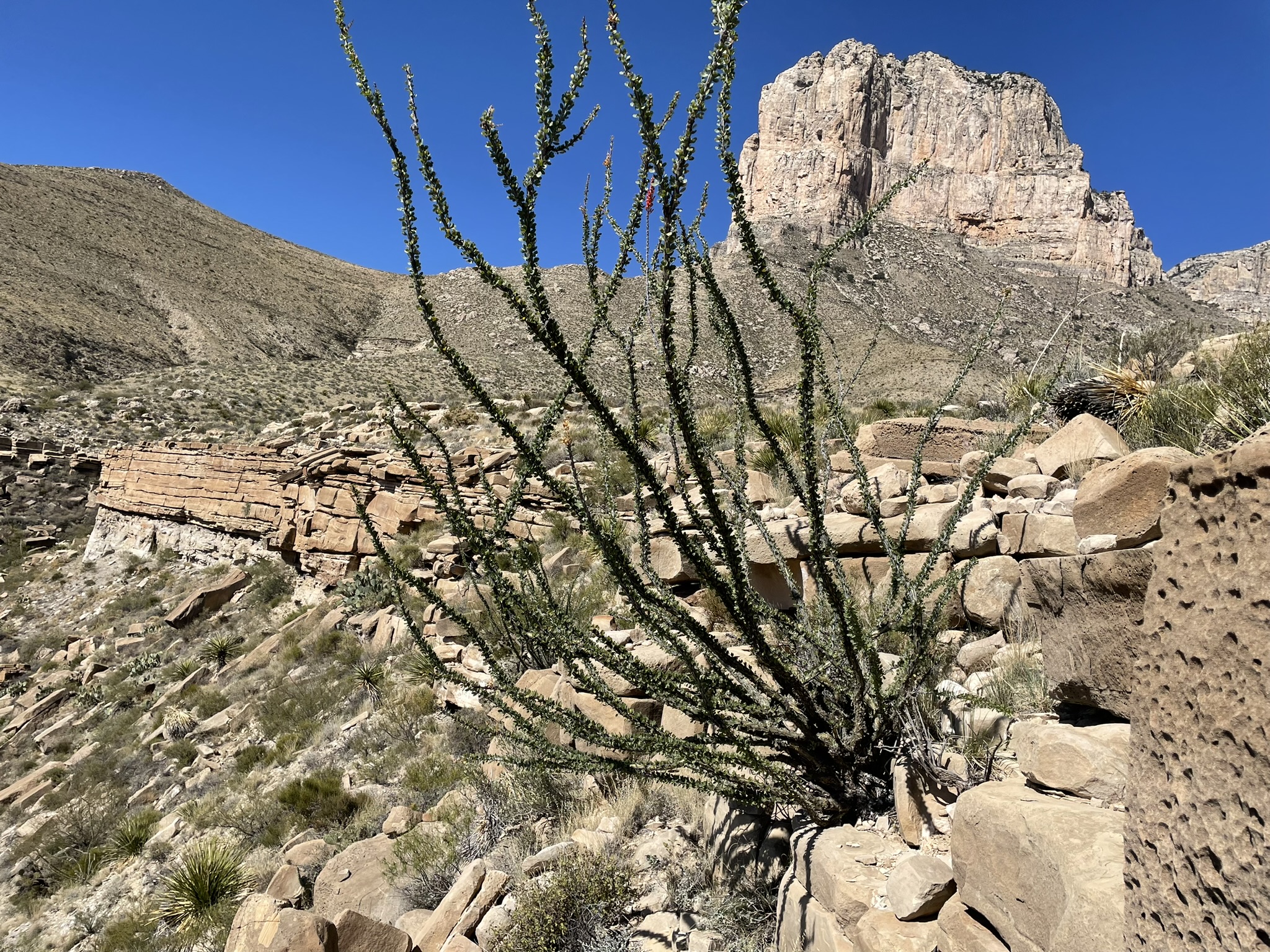 Slope-Channel Depositional Systems: Brushy Canyon Formation, SE New Mexico and West Texas​ (G091)