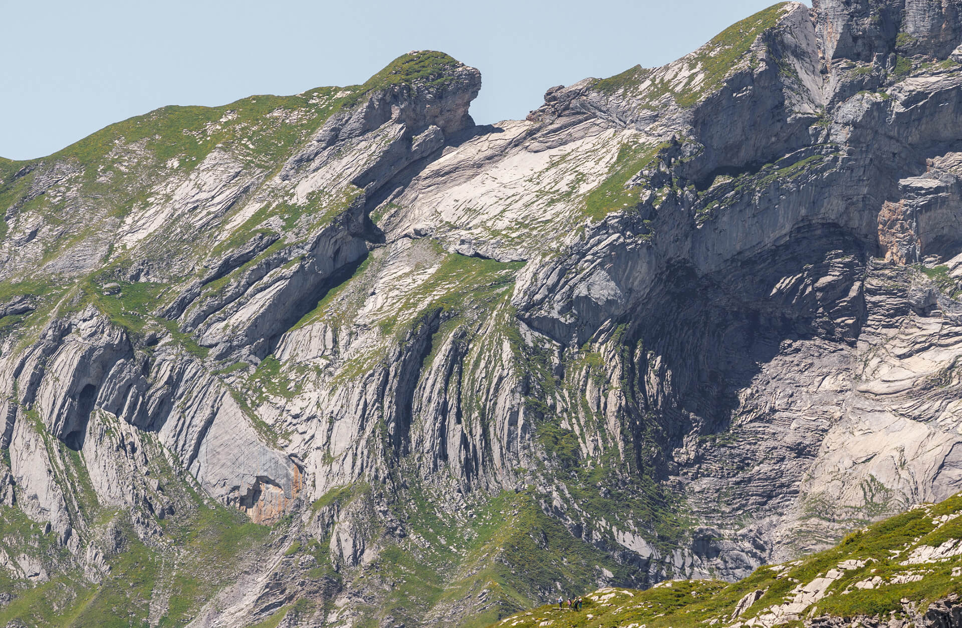 Structural Geology: Key Concepts for Exploration and Production (G111)