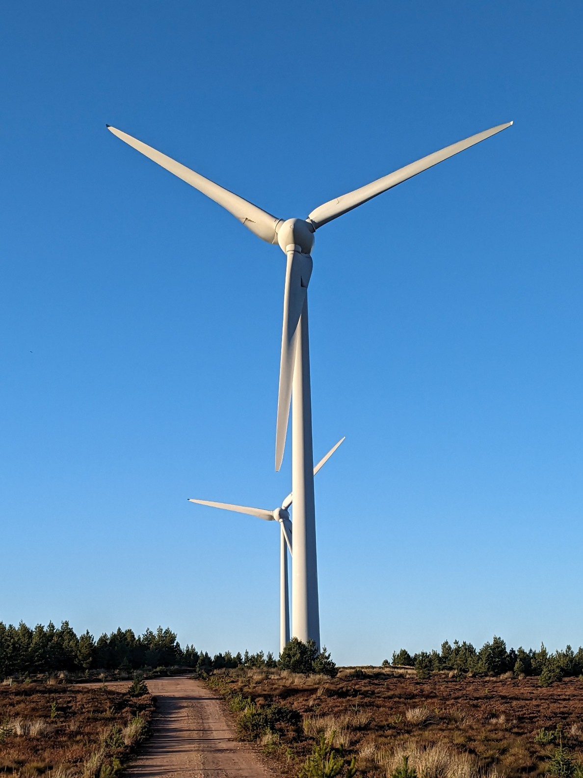 Energy Transition and Sustainability: Economic and Policy Perspectives (G910)