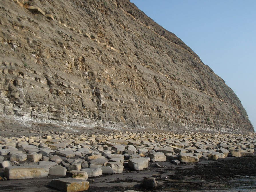 Fundamentals of Petroleum Systems: Source, Maturation and Migration (G120)